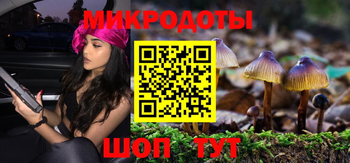 Бахчисарай  Галлюциногенные грибы прущие грибы  Вход с VPN 